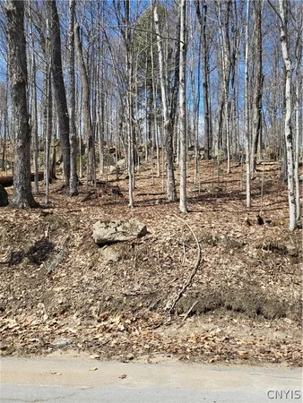 $150,000 | Hollywood Road, Old Forge, NY 13420