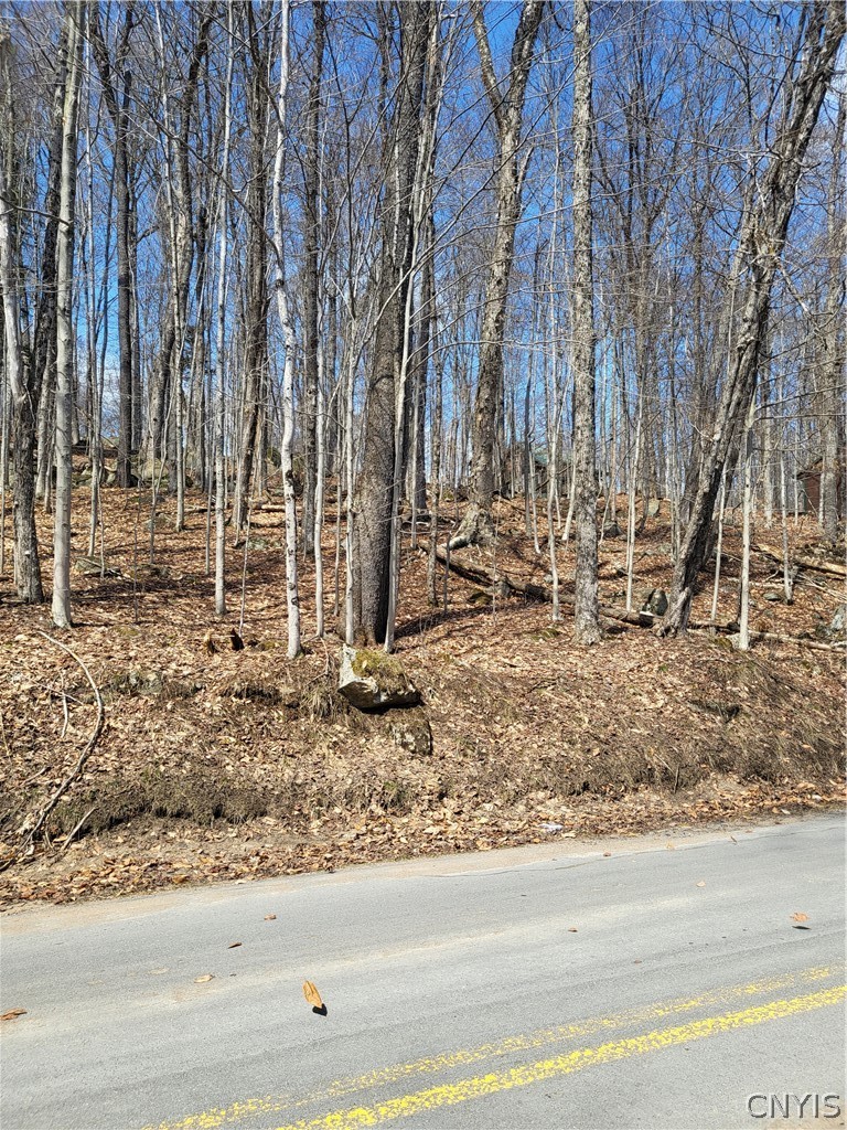 Hollywood Road Old Forge, NY 13420 - Photo 2 of 6