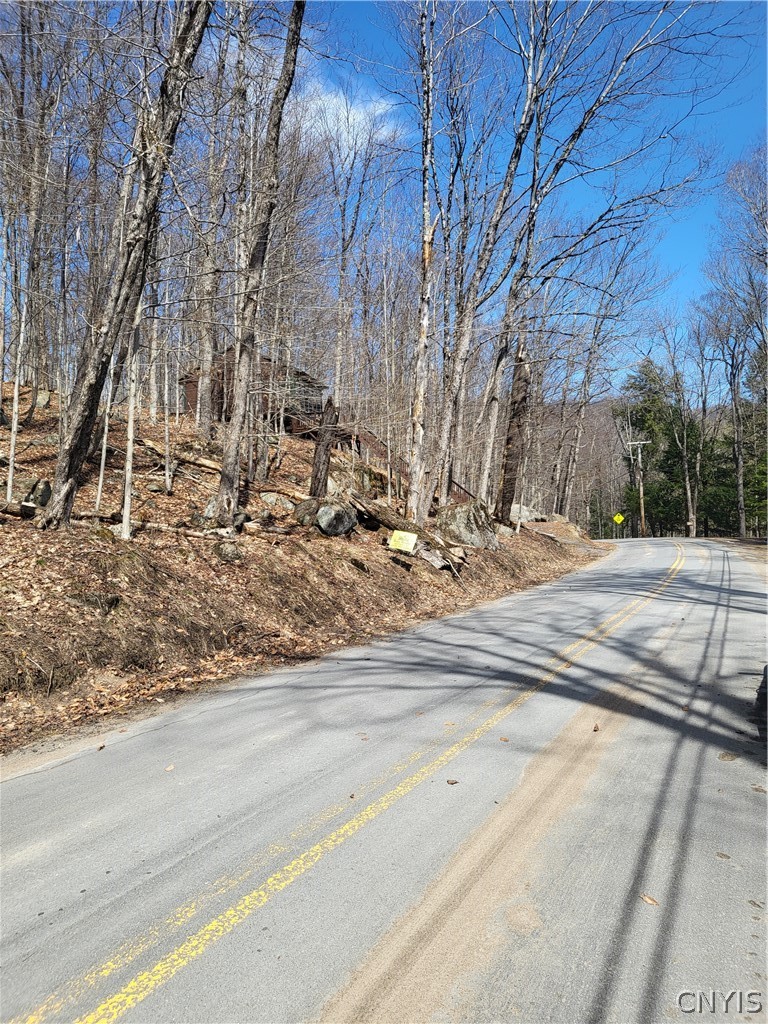 Hollywood Road Old Forge, NY 13420 - Photo 3 of 6