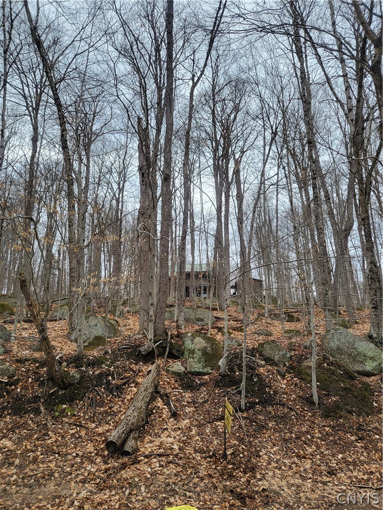 Hollywood Road Old Forge, NY 13420 - Photo 3 of 13