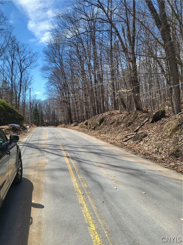 Hollywood Road Old Forge, NY 13420 - Photo 4 of 6