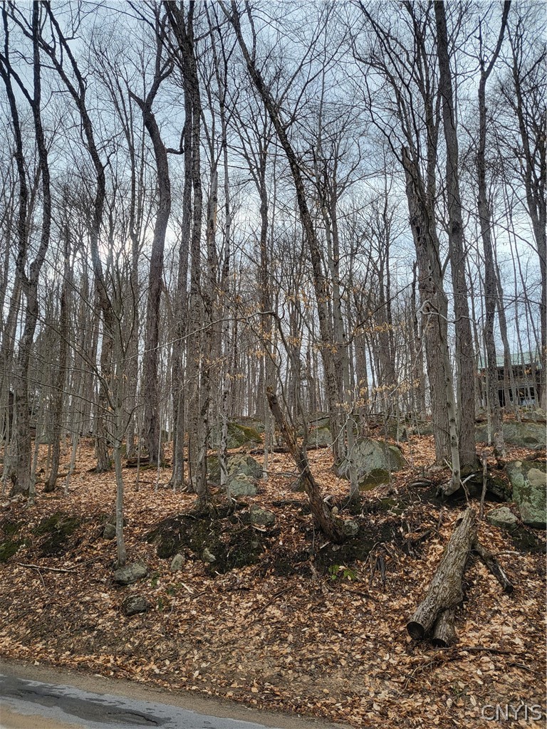 Hollywood Road Old Forge, NY 13420 - Photo 4 of 13