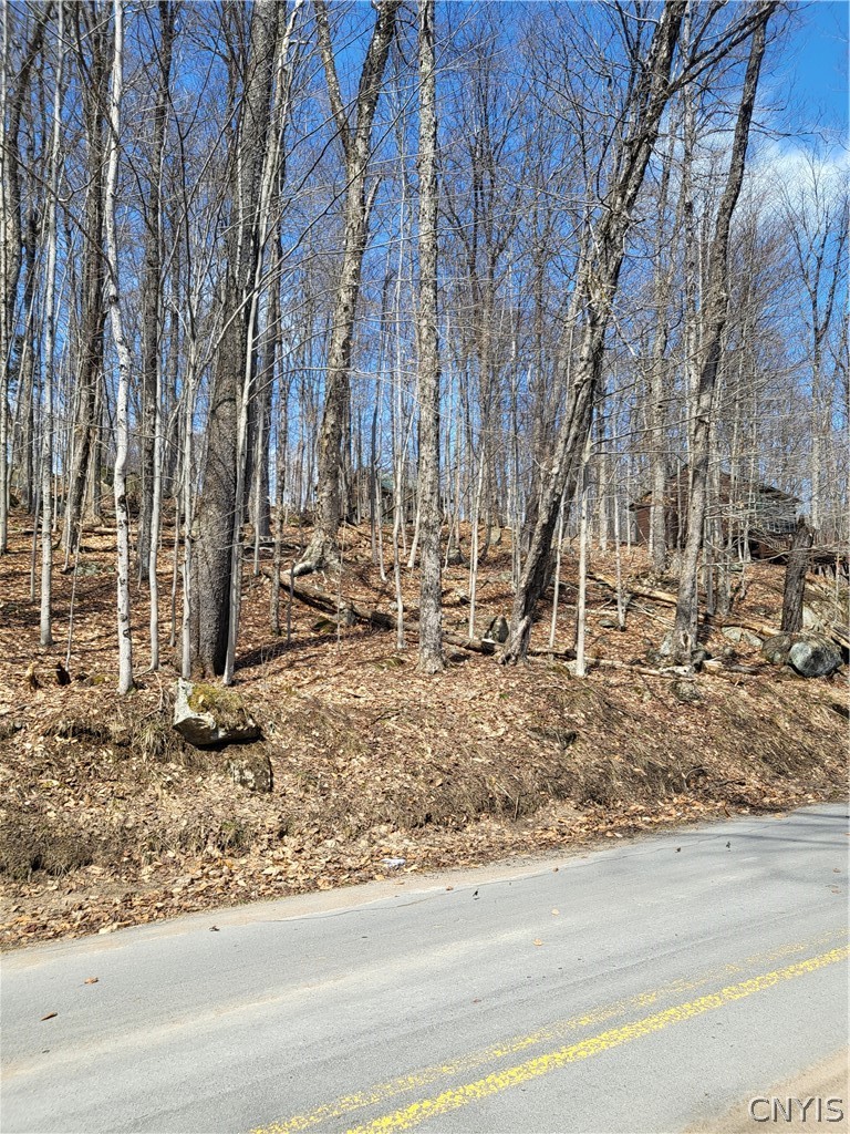 Hollywood Road Old Forge, NY 13420 - Photo 5 of 6