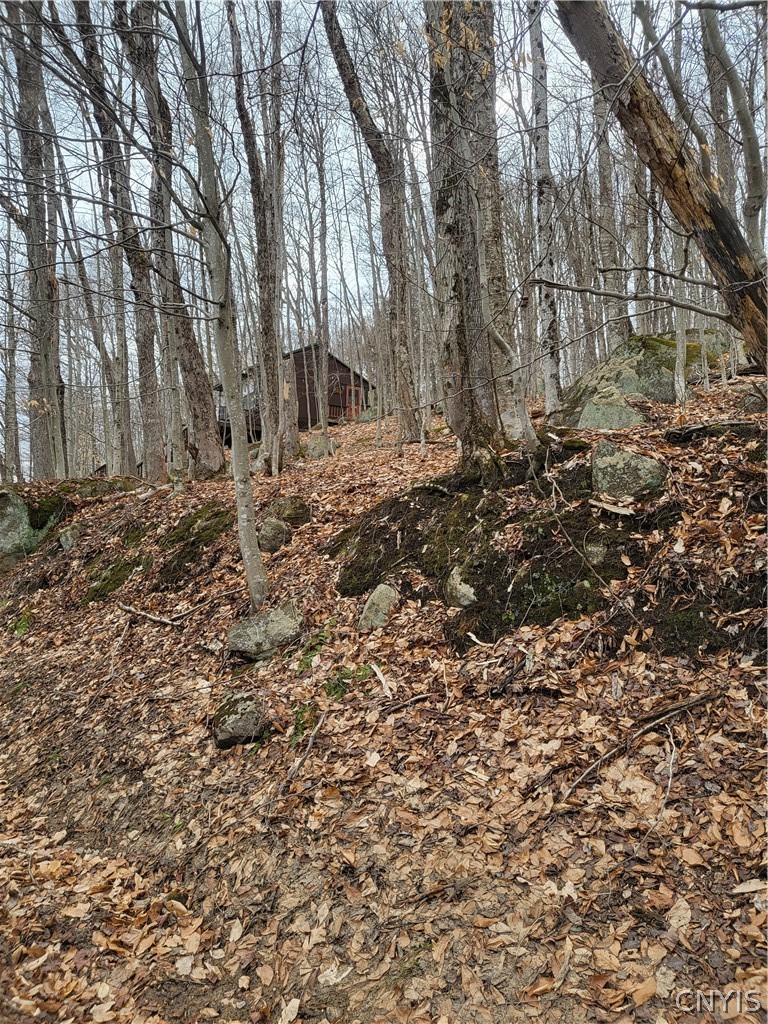 Hollywood Road Old Forge, NY 13420 - Photo 6 of 13