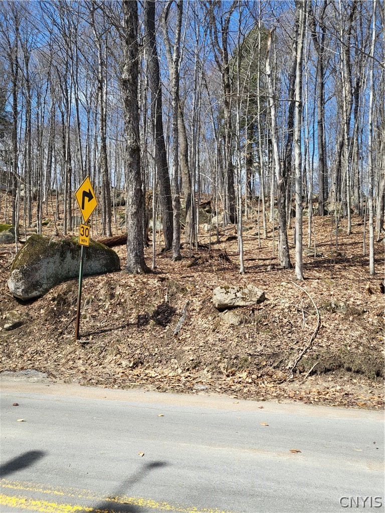 Hollywood Road Old Forge, NY 13420 - Photo 6 of 6