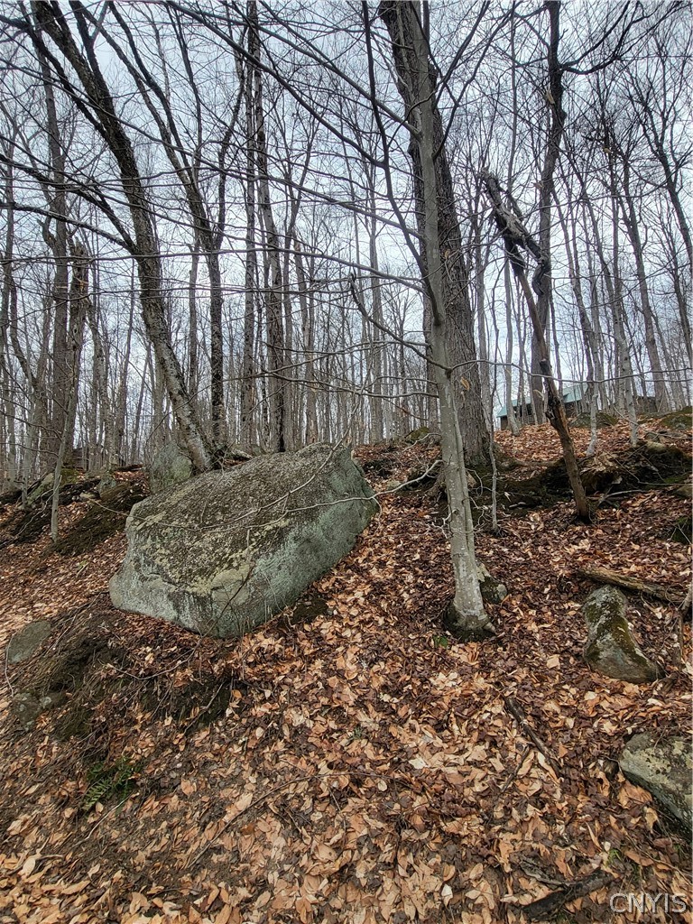 Hollywood Road Old Forge, NY 13420 - Photo 7 of 13