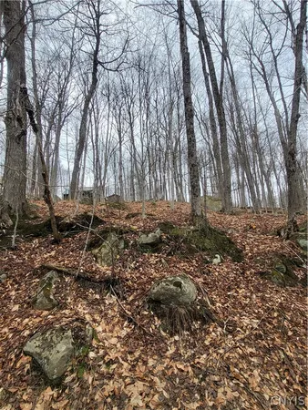 $150,000 | Hollywood Road, Old Forge, NY 13420