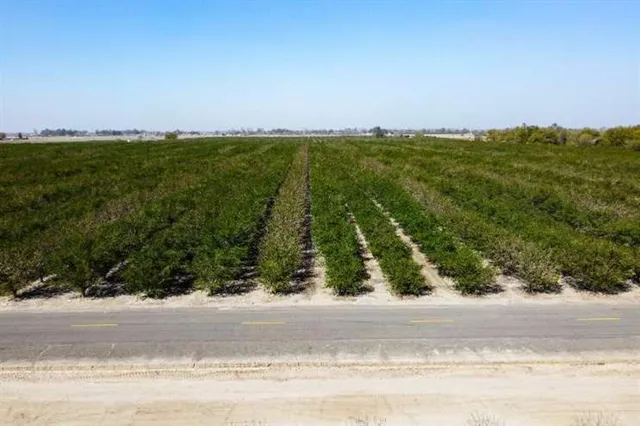 a view of an ocean and beach