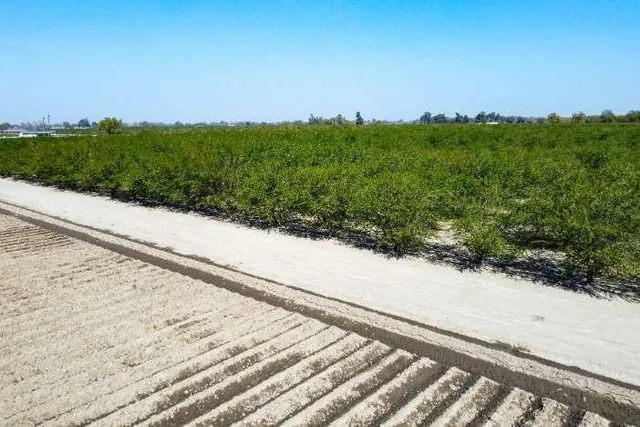 a view of a yard with potted plants