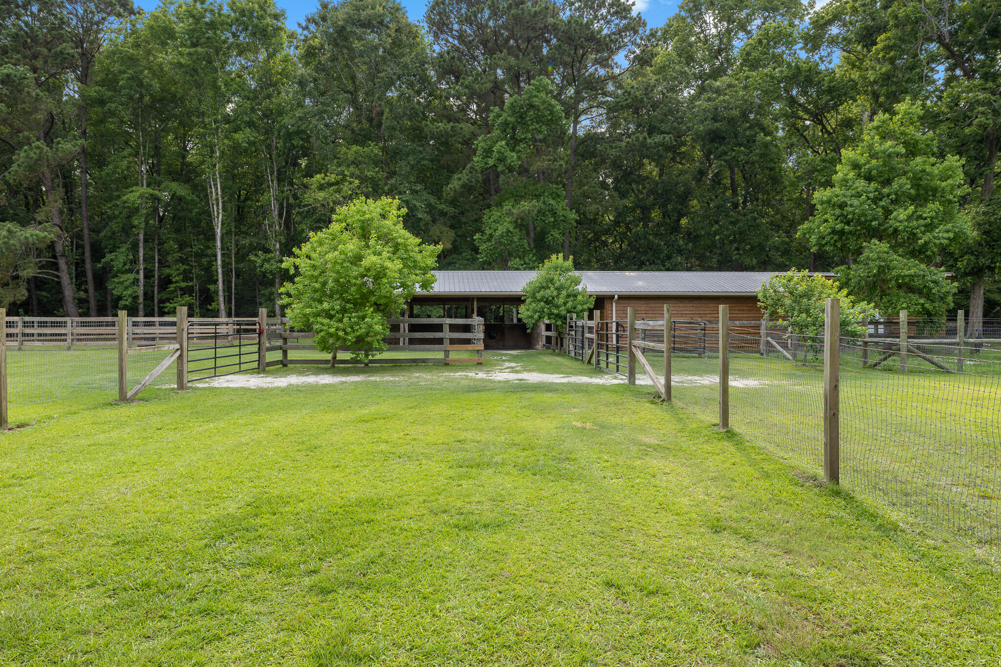 6434 St Anthony Drive Meggett, SC 29449 - Photo 11 of 48 327A4303