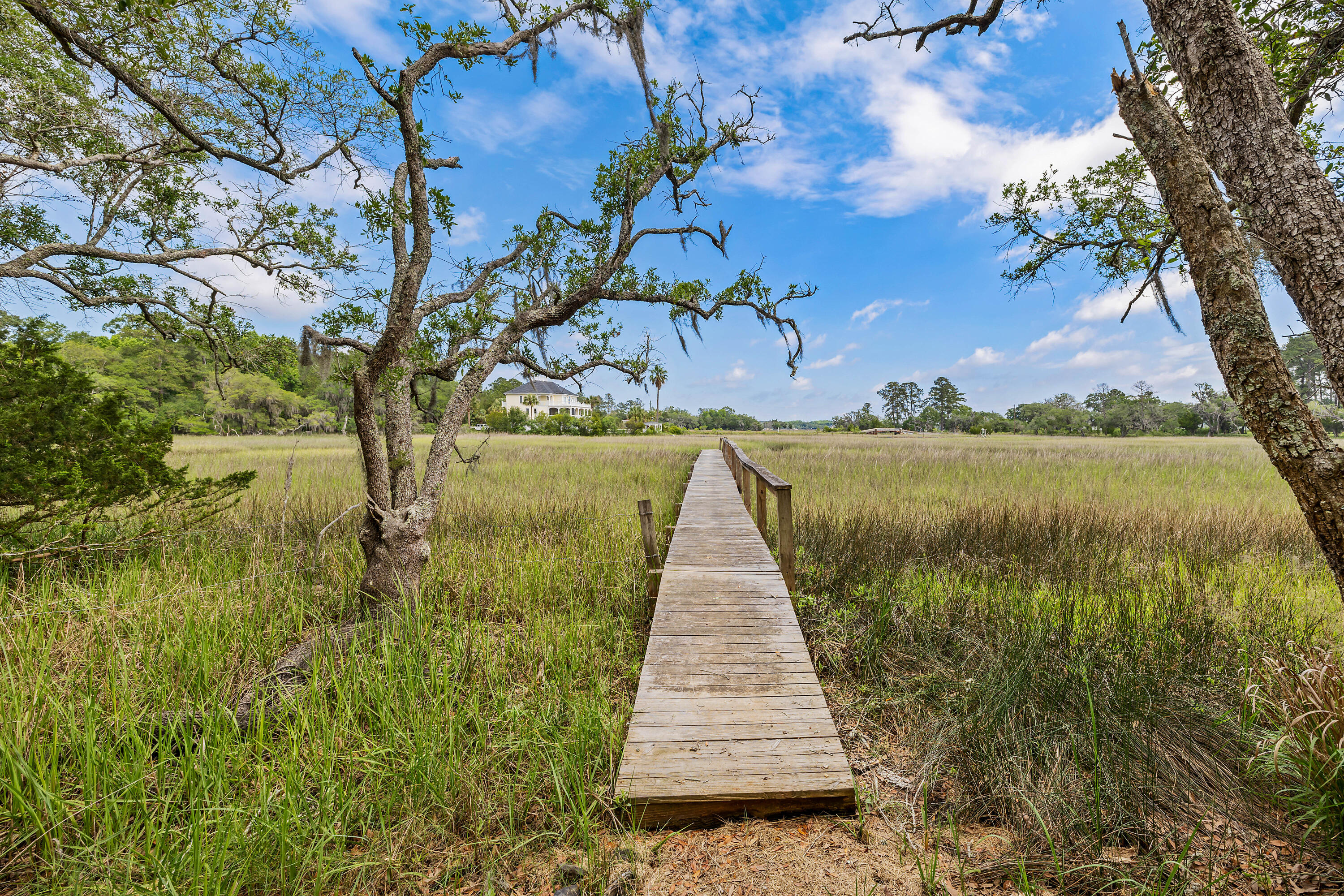 6434 St Anthony Drive Meggett, SC 29449 - Photo 40 of 48 327A1632