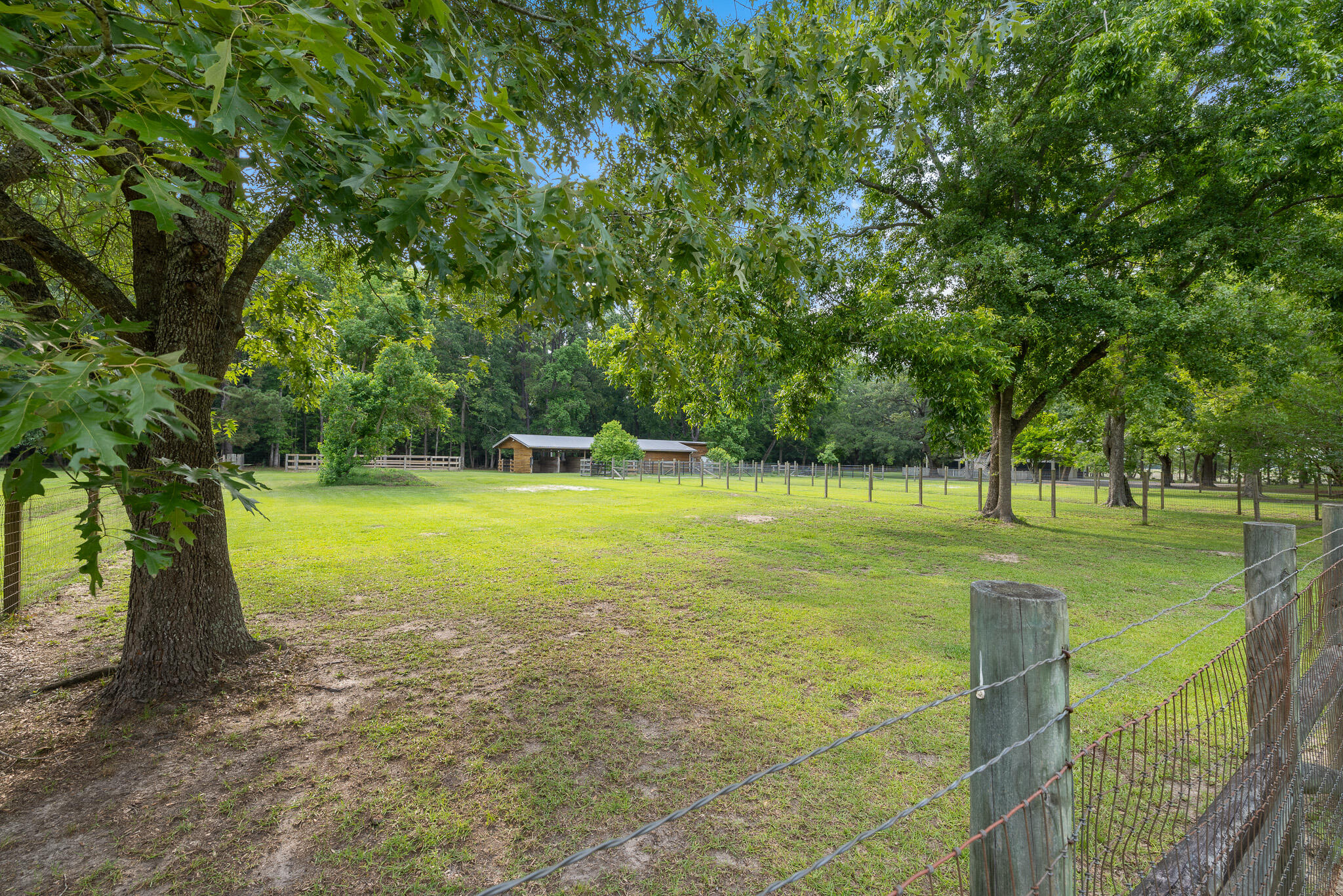 6434 St Anthony Drive Meggett, SC 29449 - Photo 44 of 48 327A4318