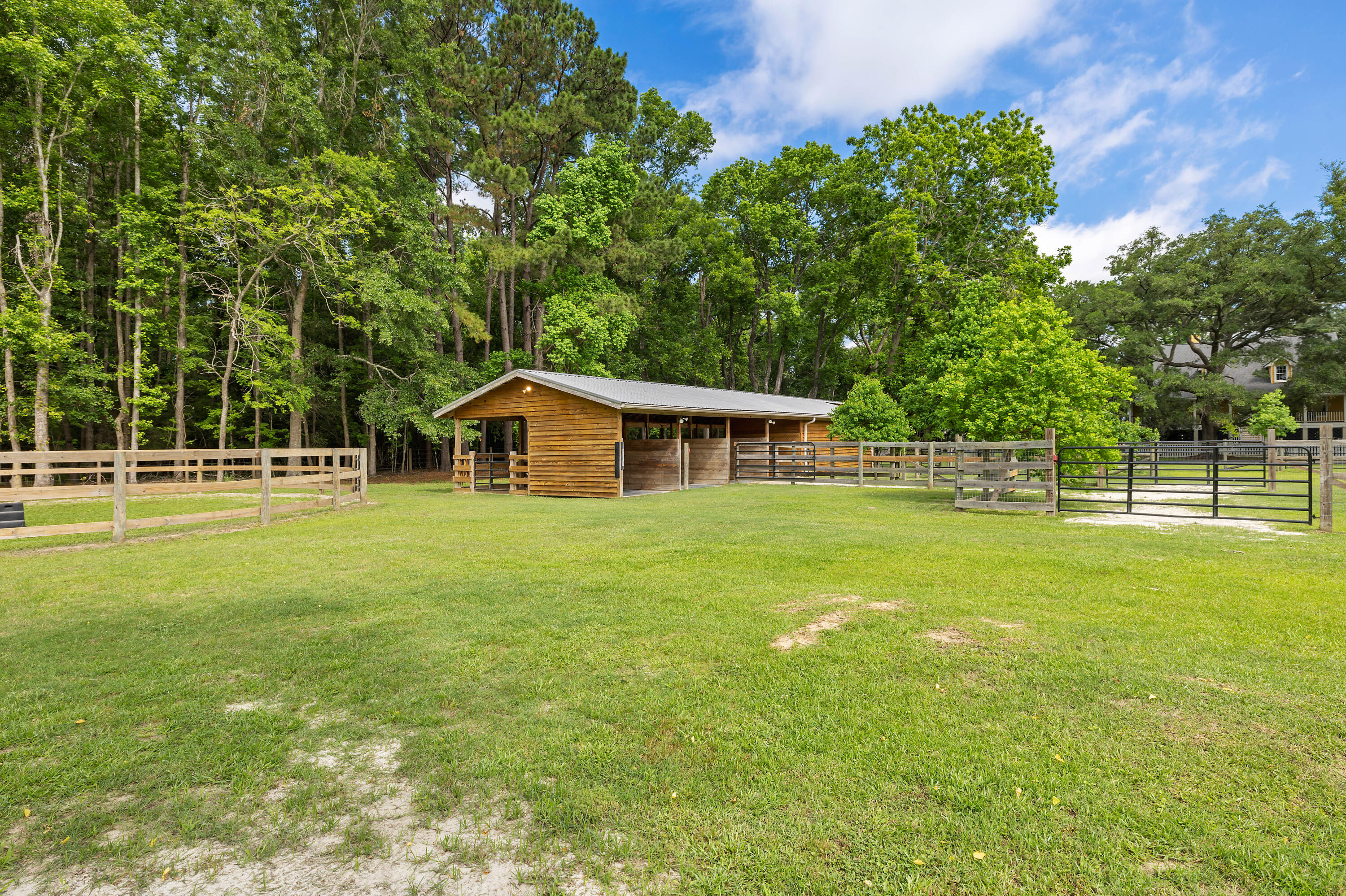 6434 St Anthony Drive Meggett, SC 29449 - Photo 9 of 48 327A1613