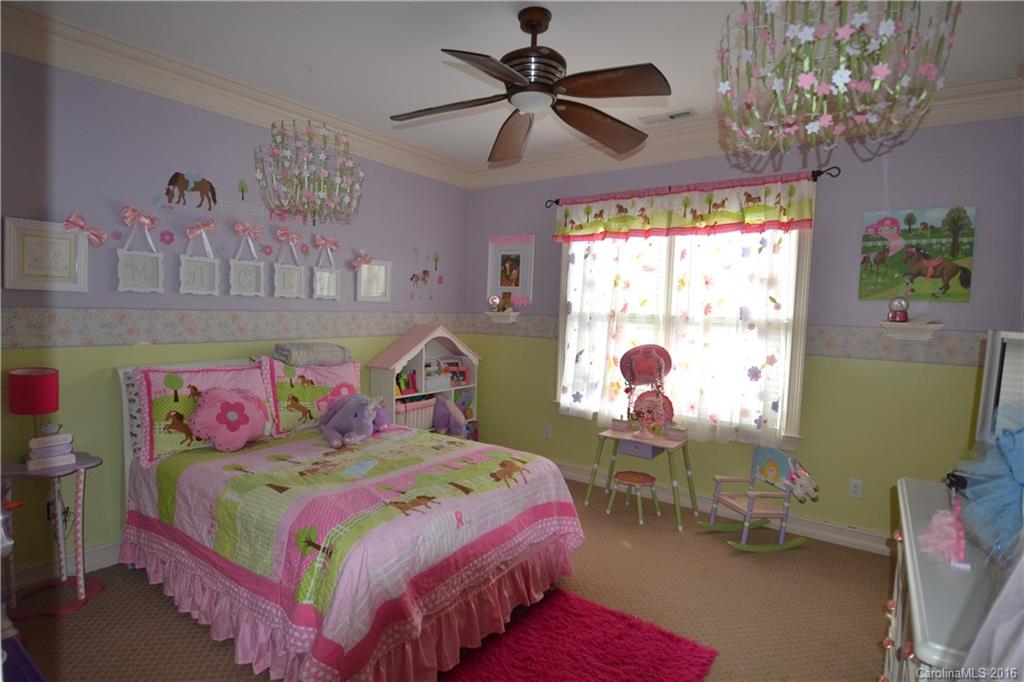 17 Lone Coyote Ridge Fletcher, NC 28732 - Photo 14 of 21 Gallery Image 14