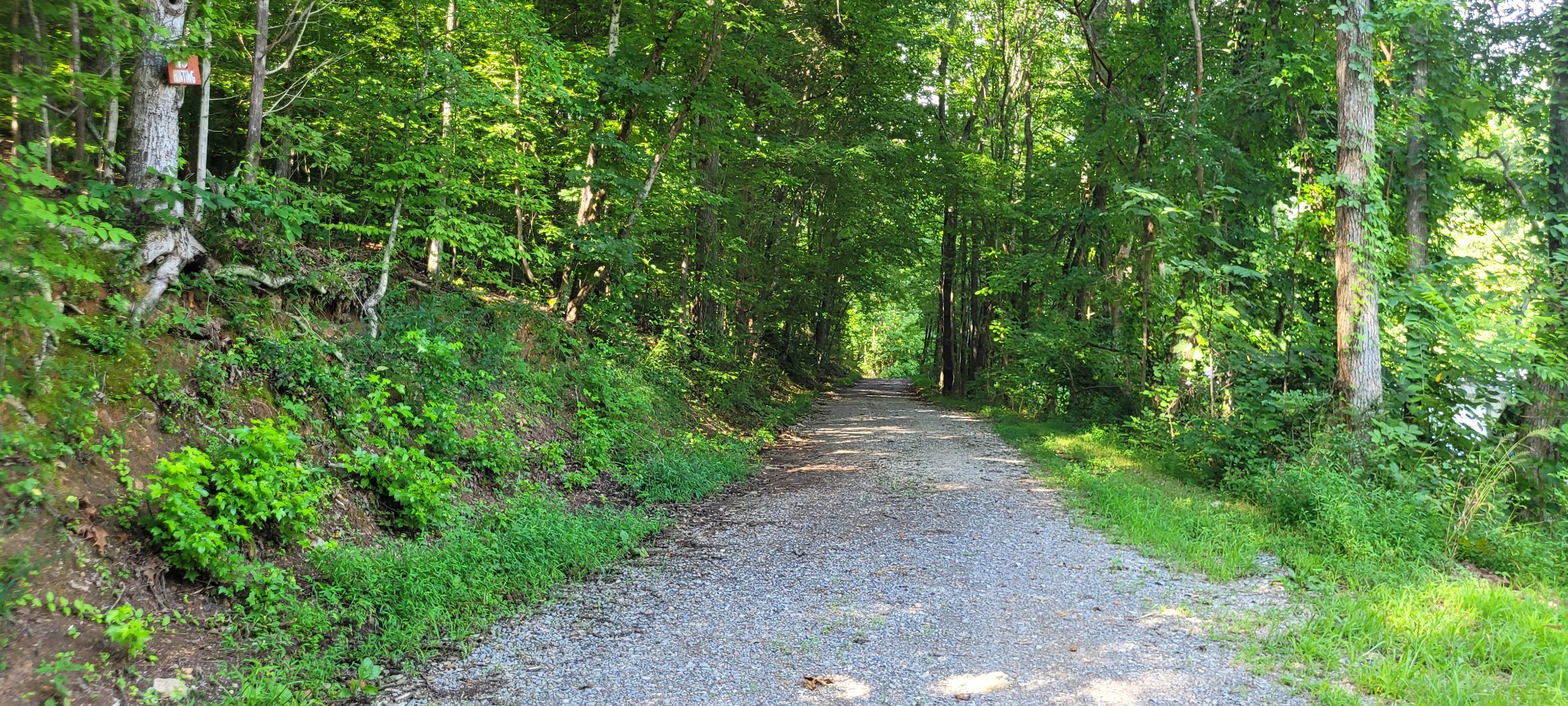 1 Terrapin Run Road Dover, TN 37058 - Photo 12 of 12 a view of a forest with trees in the background