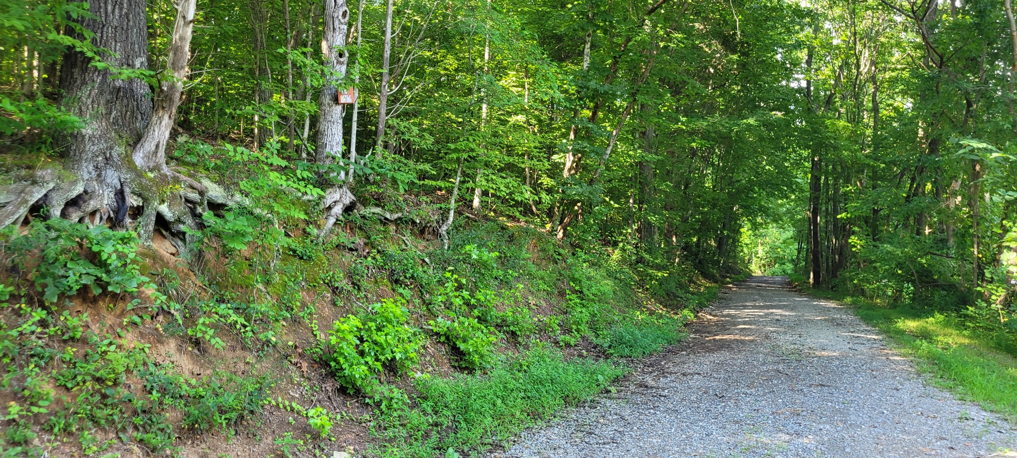 1 Terrapin Run Road Dover, TN 37058 - Photo 10 of 12 a view of a large yard with lots of green space