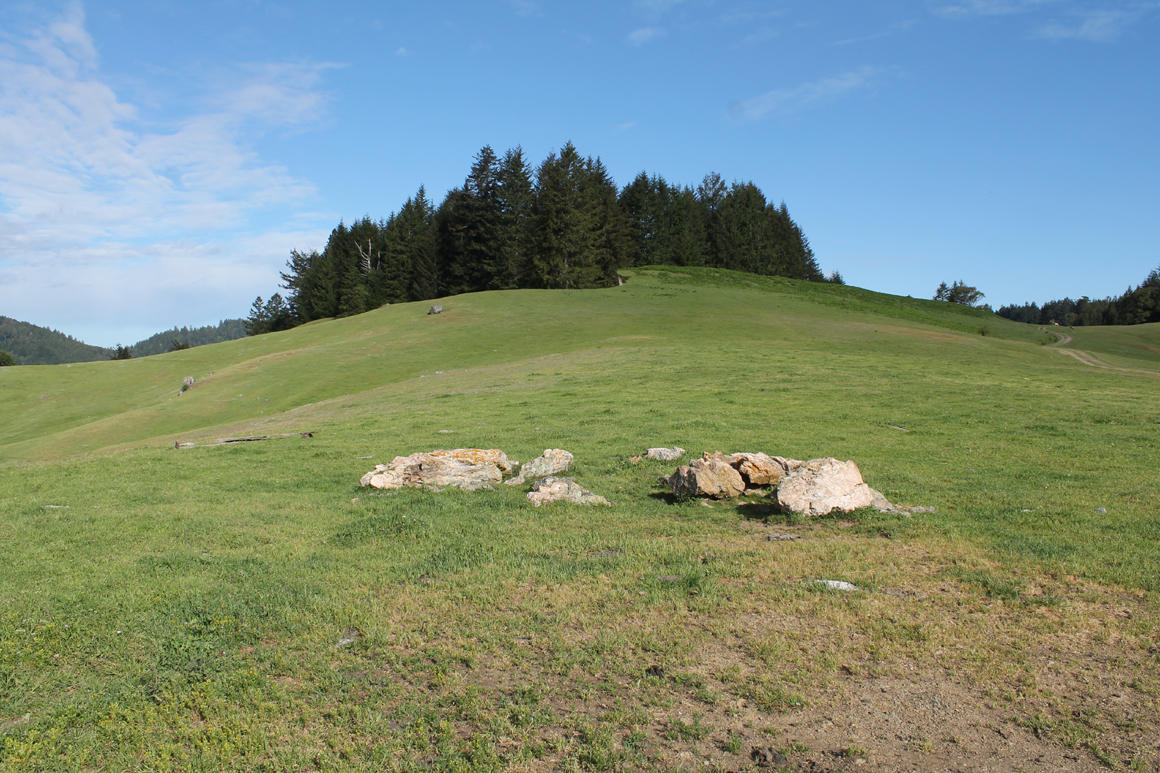 30855 Alderpoint Road, Unit MORE SEE REMARKS Blocksburg, CA 95514 - Photo 13 of 19
