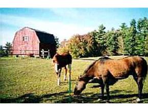480 Brown Road Candia, NH 03034 - Photo 2 of 3