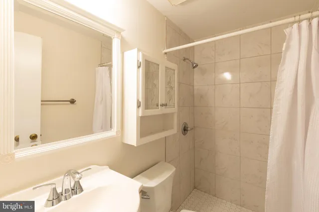 a bathroom with a shower and a toilet