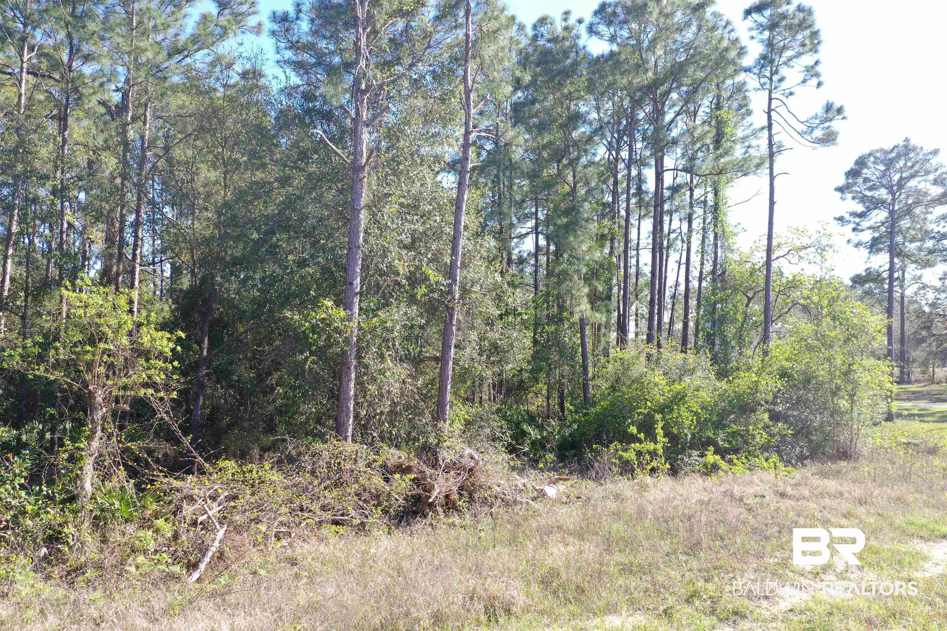 0 West Fort Morgan Road Gulf Shores, AL 36542 - Photo 6 of 11