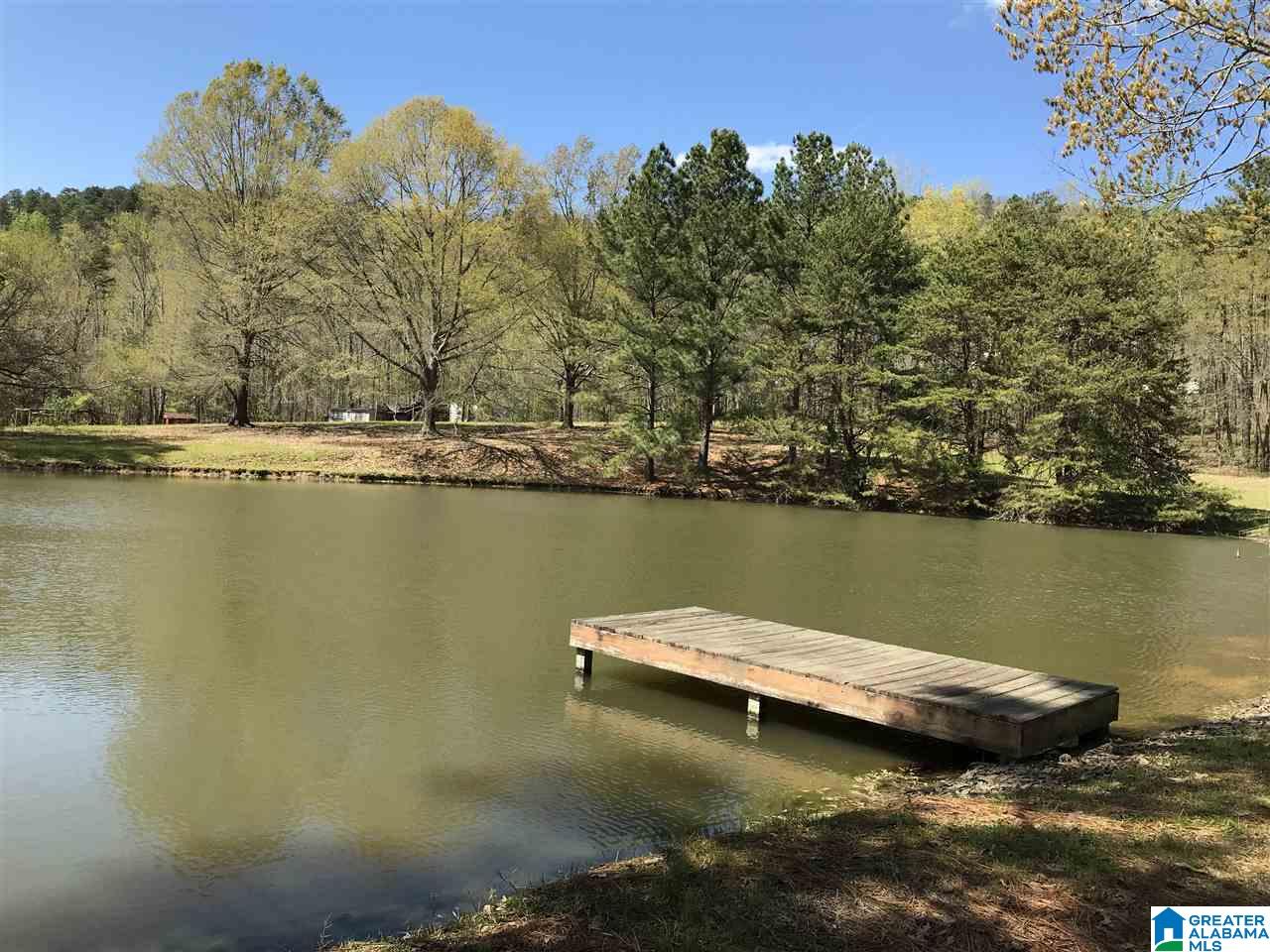 346 Hunters Lane Vandiver, AL 35176 - Photo 17 of 38