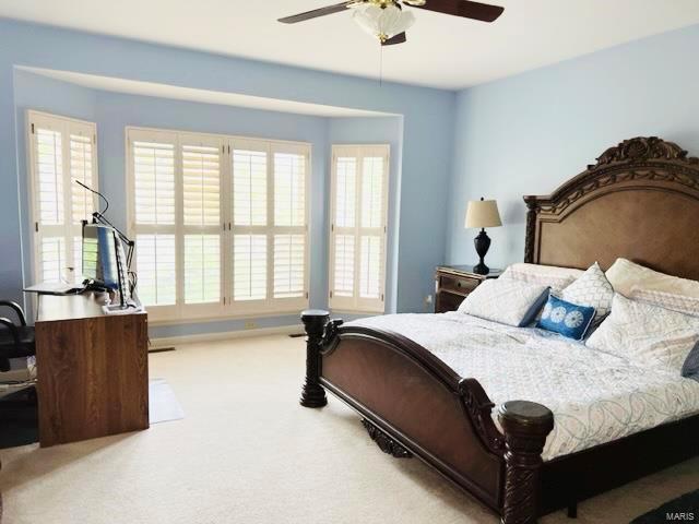 426 Remington Pl Drive Ballwin, MO 63021 - Photo 14 of 23