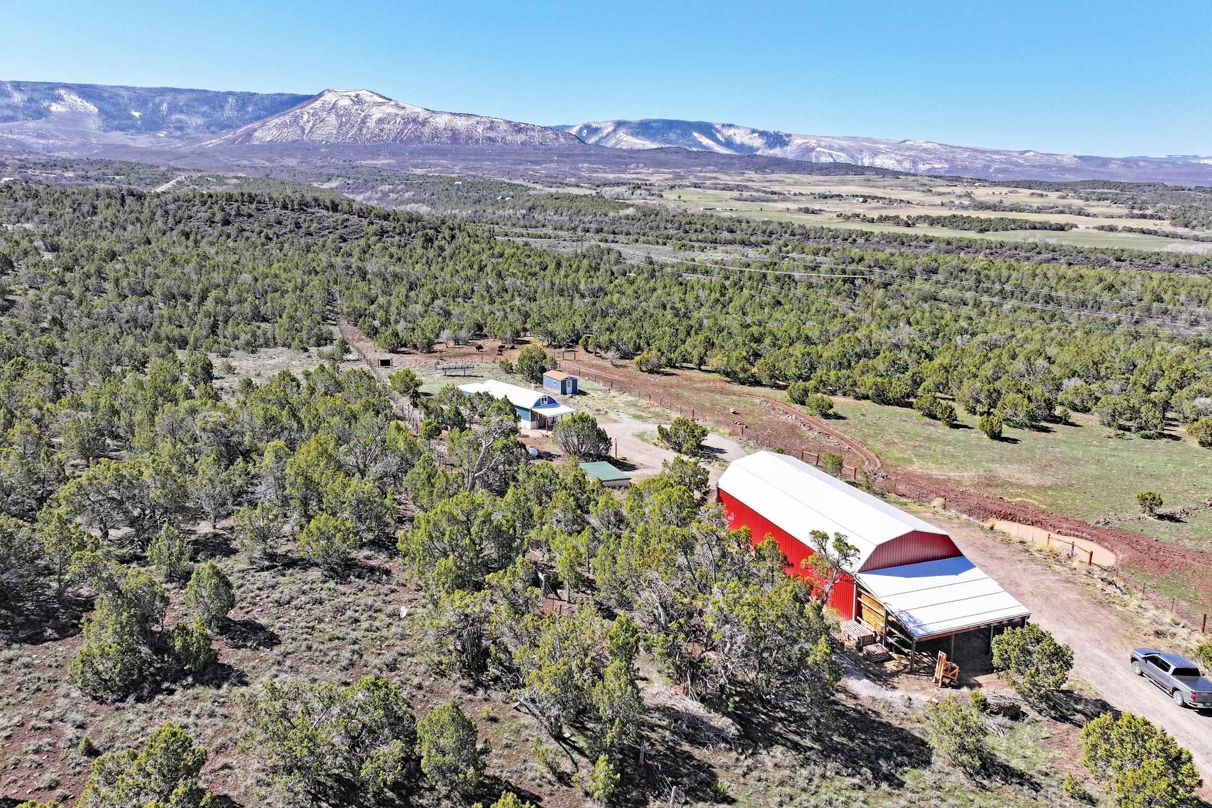 56001 KK Road Molina, CO 81646 - Photo 36 of 42 a view of a lush green hillside and a houses