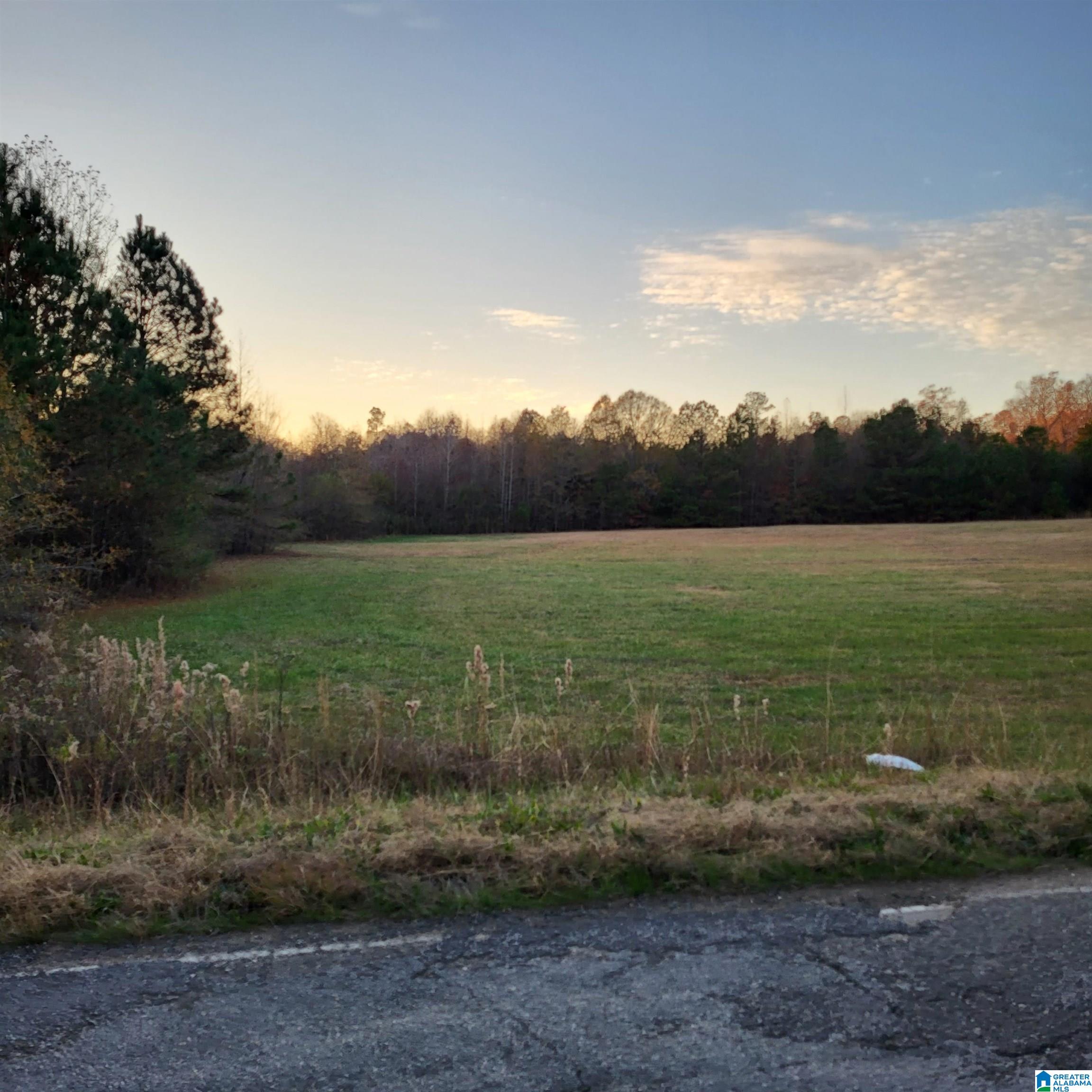 0 Nisbet Lake Road Jacksonville, AL 36265 - Photo 3 of 9