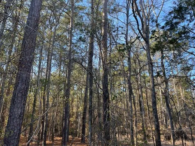 $225,000 | 3015 Timber Woods Drive, Appling, GA 30802