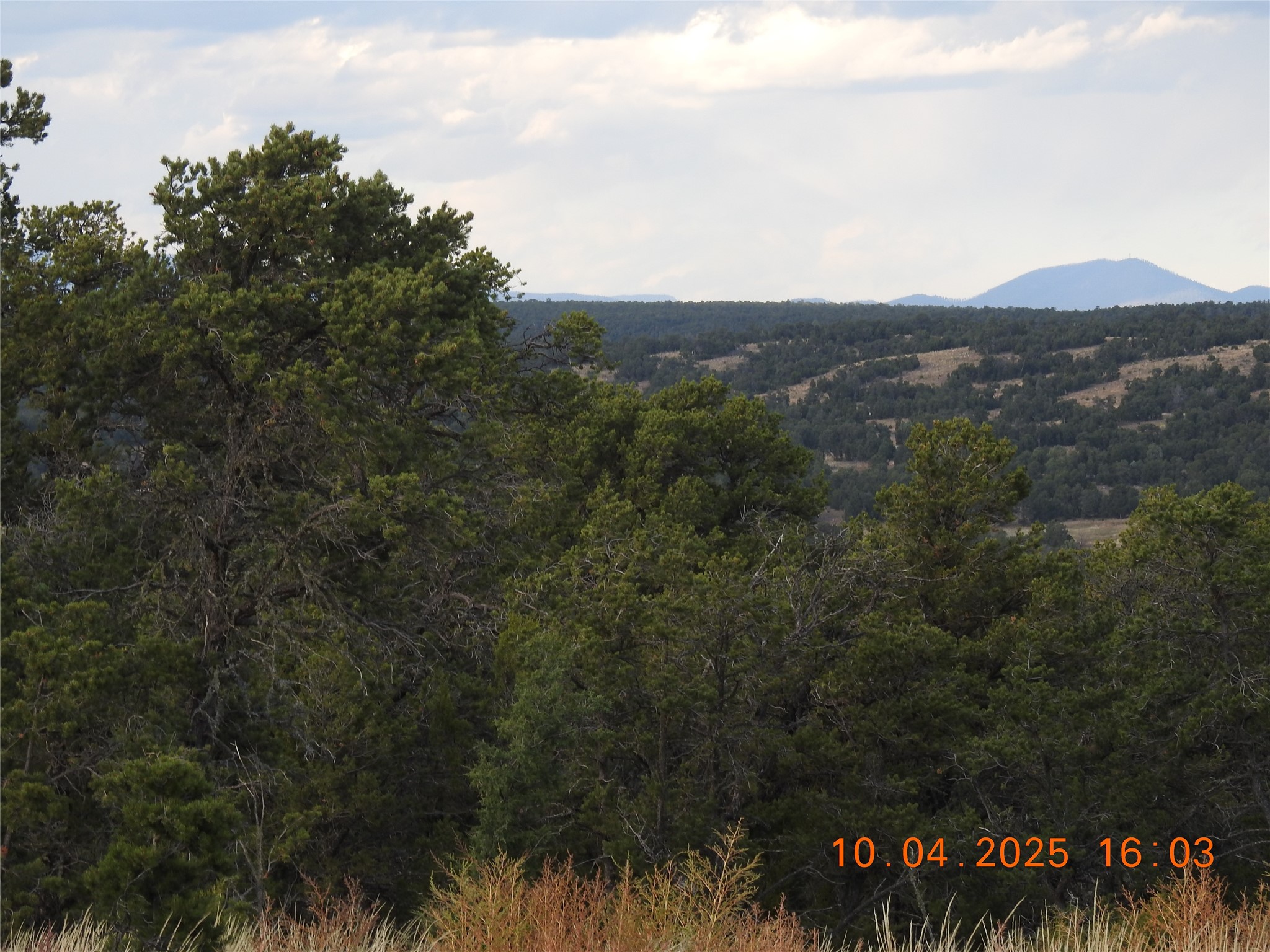 129 Tierra De Dios Ribera, NM 87560 - Photo 3 of 23
