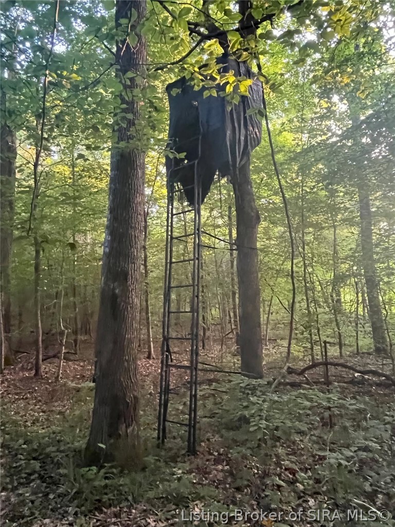 250 S West Co Road Paoli, IN 47454 - Photo 15 of 38 DEER STAND