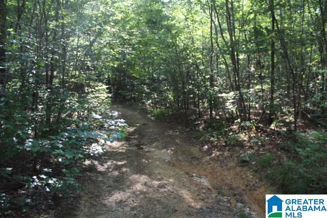 1 Benefield Gap Road Attalla, AL 35954 - Photo 25 of 50