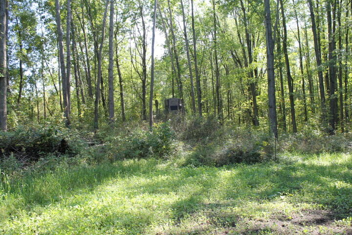 12150 Lone Tree Road Milford, MI 48380 - Photo 14 of 25