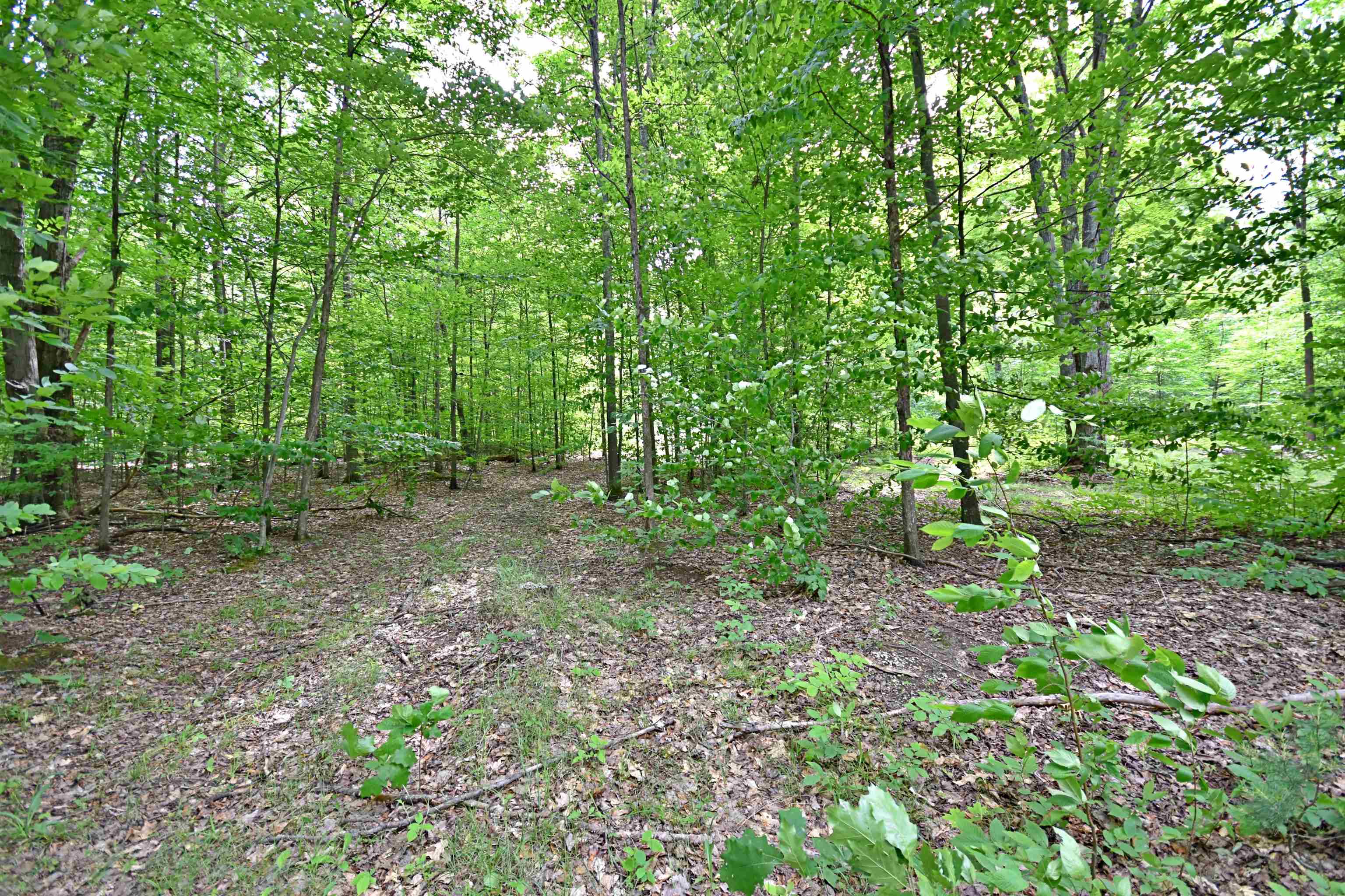Vl 00 Cherry Hill Road Fife Lake, MI 49633 - Photo 4 of 26