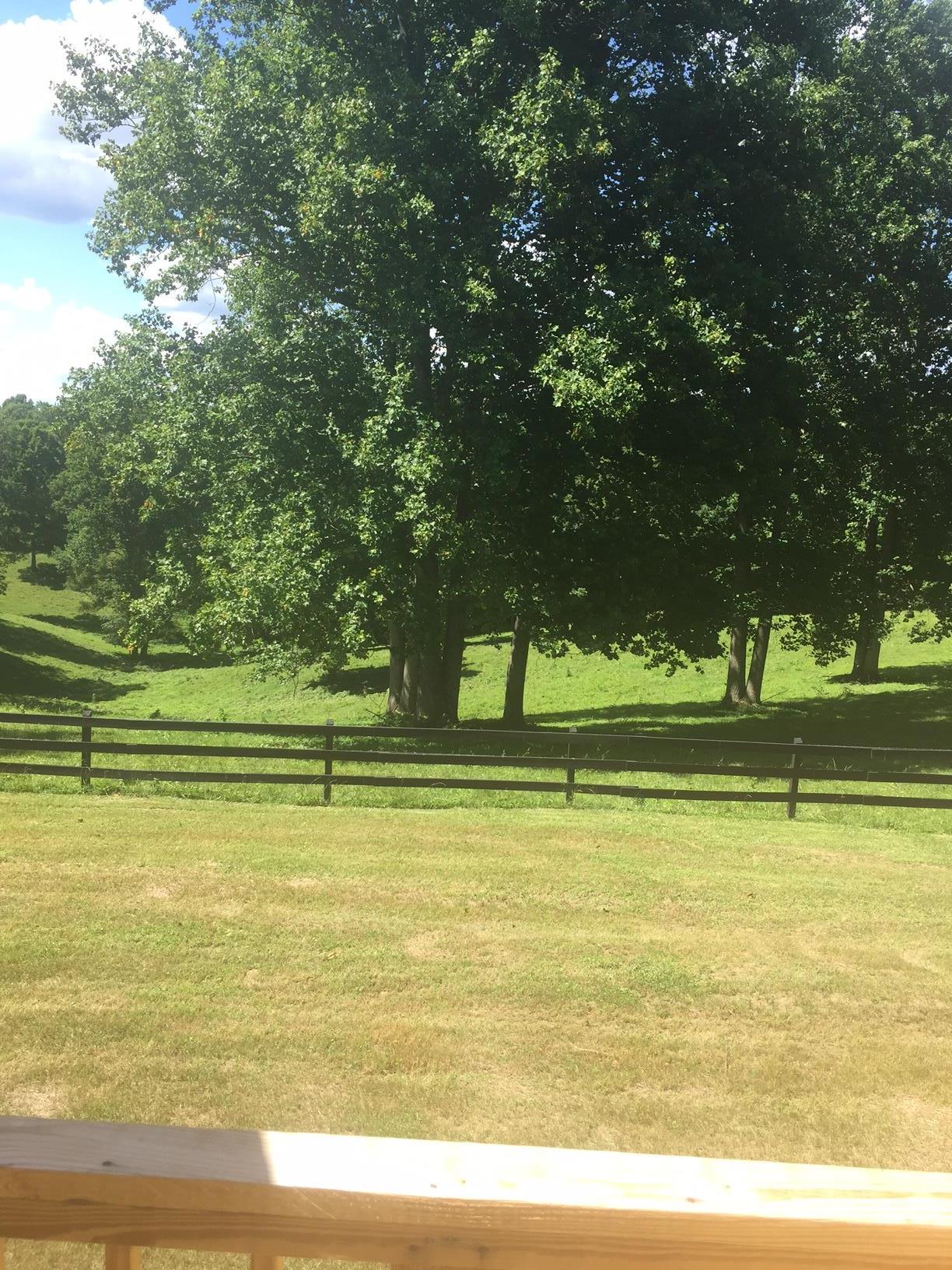 2309 Darrell Rye Road Erin, TN 37061 - Photo 6 of 12 Gallery Image 6
