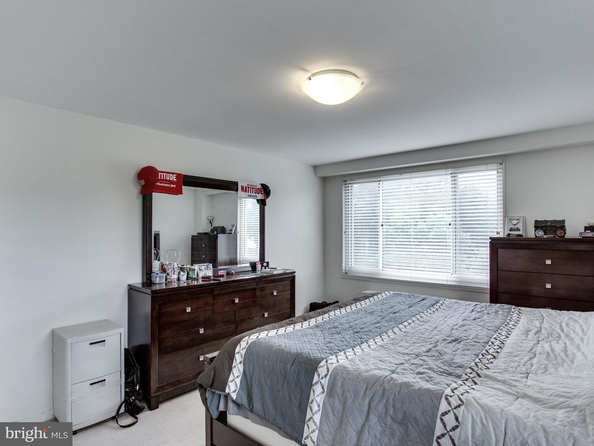 1900 Lyttonsville Road, Unit 706 Silver Spring, MD 20910 - Photo 12 of 19 Bedroom (Master)