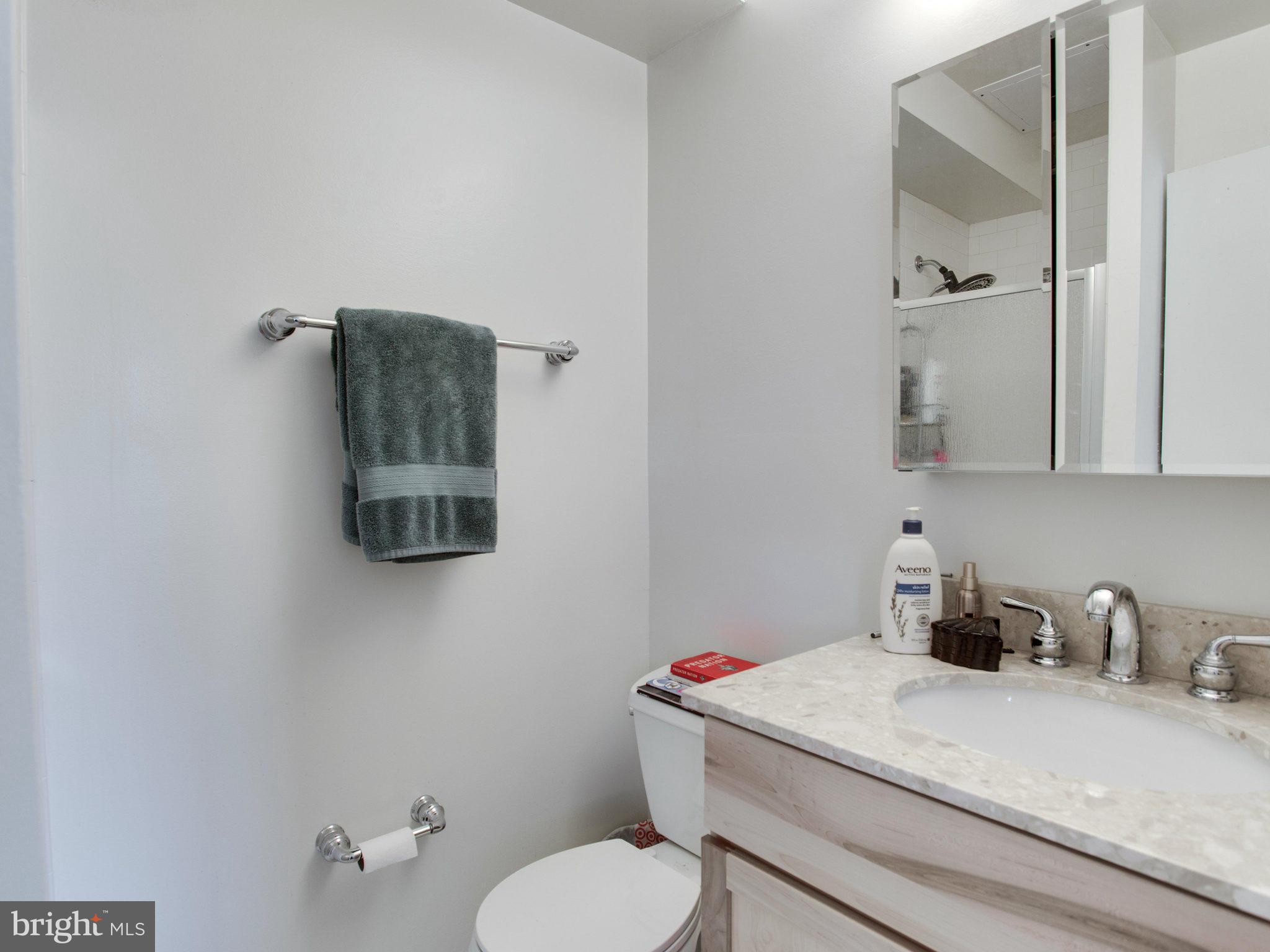 1900 Lyttonsville Road, Unit 706 Silver Spring, MD 20910 - Photo 13 of 19 Bath (Master)