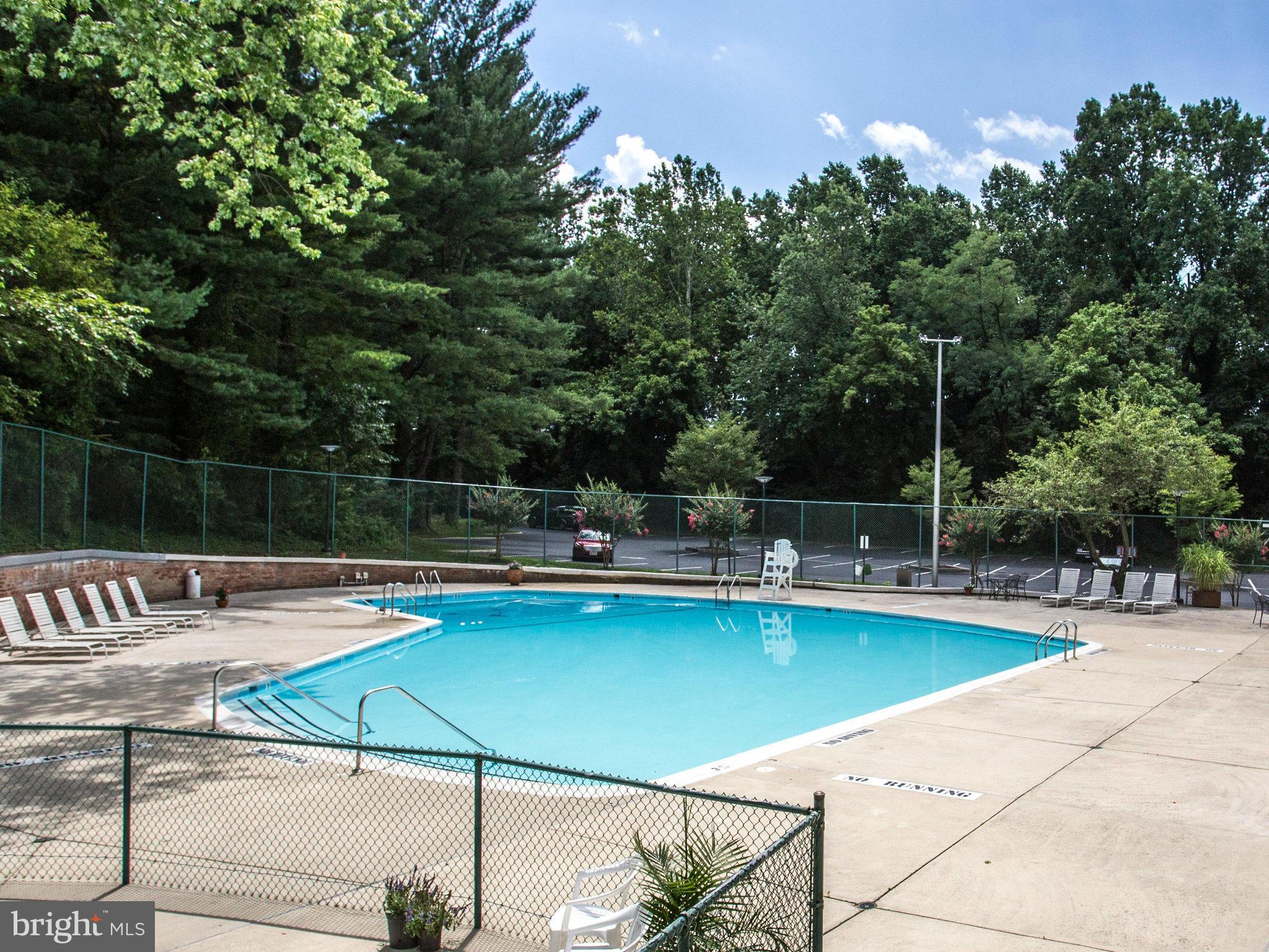 1900 Lyttonsville Road, Unit 706 Silver Spring, MD 20910 - Photo 18 of 19 Pool for Condominium