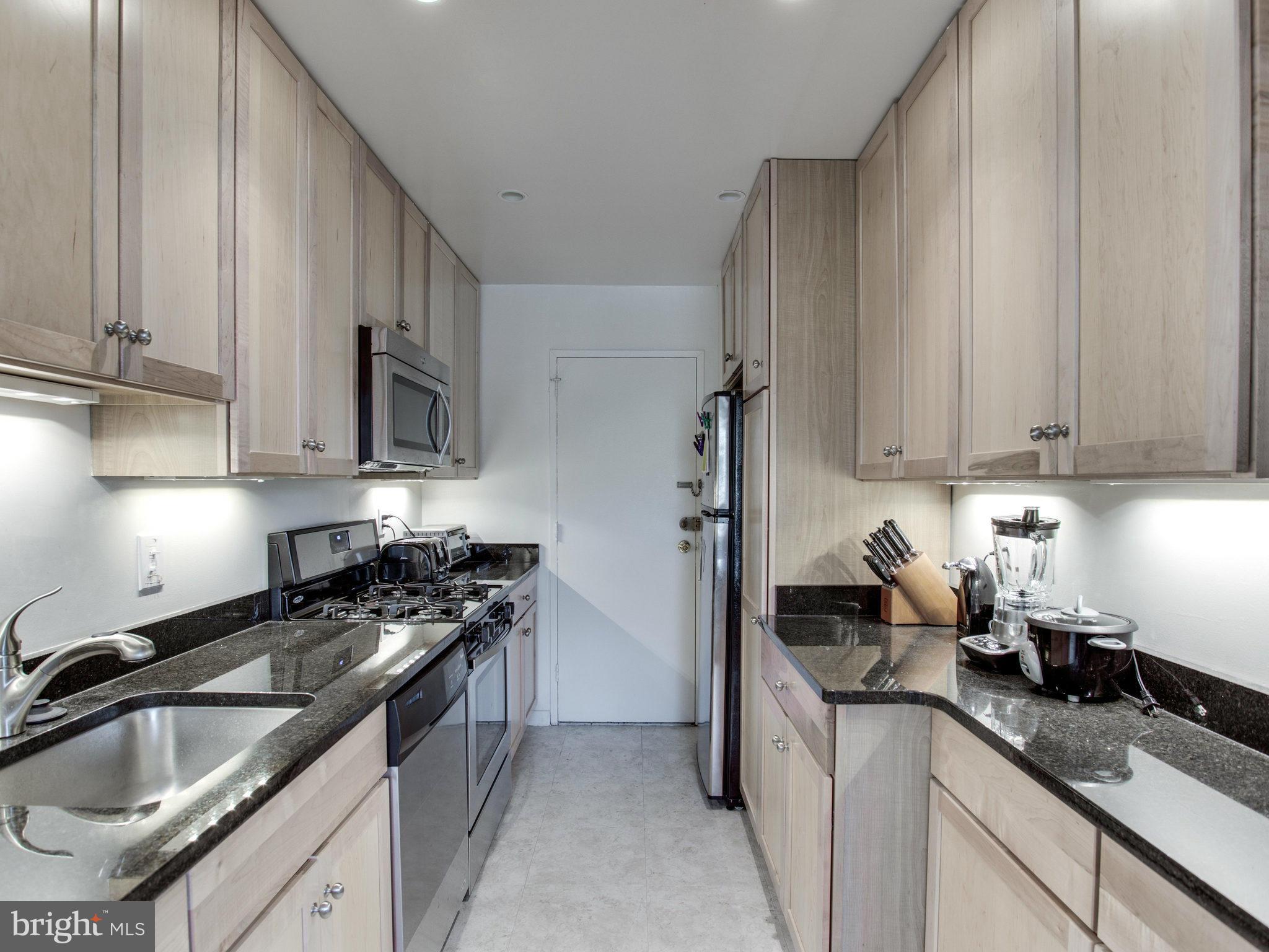 1900 Lyttonsville Road, Unit 706 Silver Spring, MD 20910 - Photo 8 of 19 Kitchen