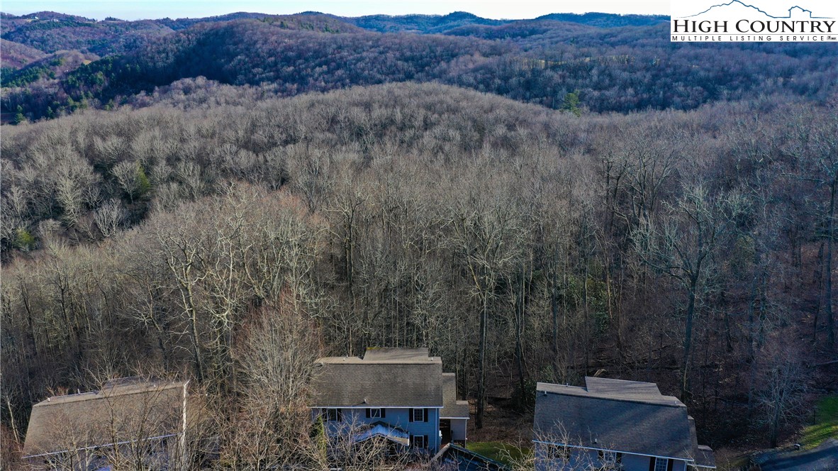 136 Deer Ridge Lane, Unit 1 Blowing Rock, NC 28605 - Photo 8 of 39