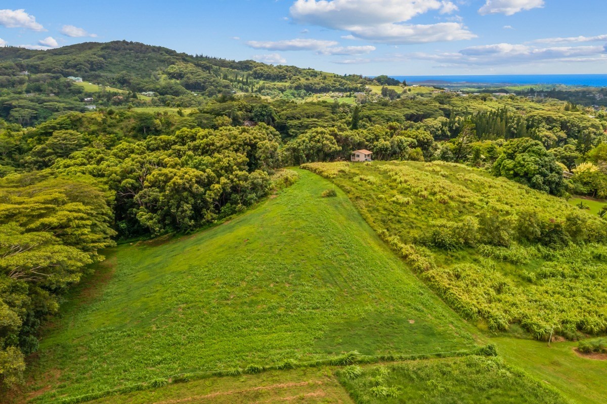 Kikala Road, Unit 3 Kalaheo, HI 96741 - Photo 3 of 7 Gallery Image 3