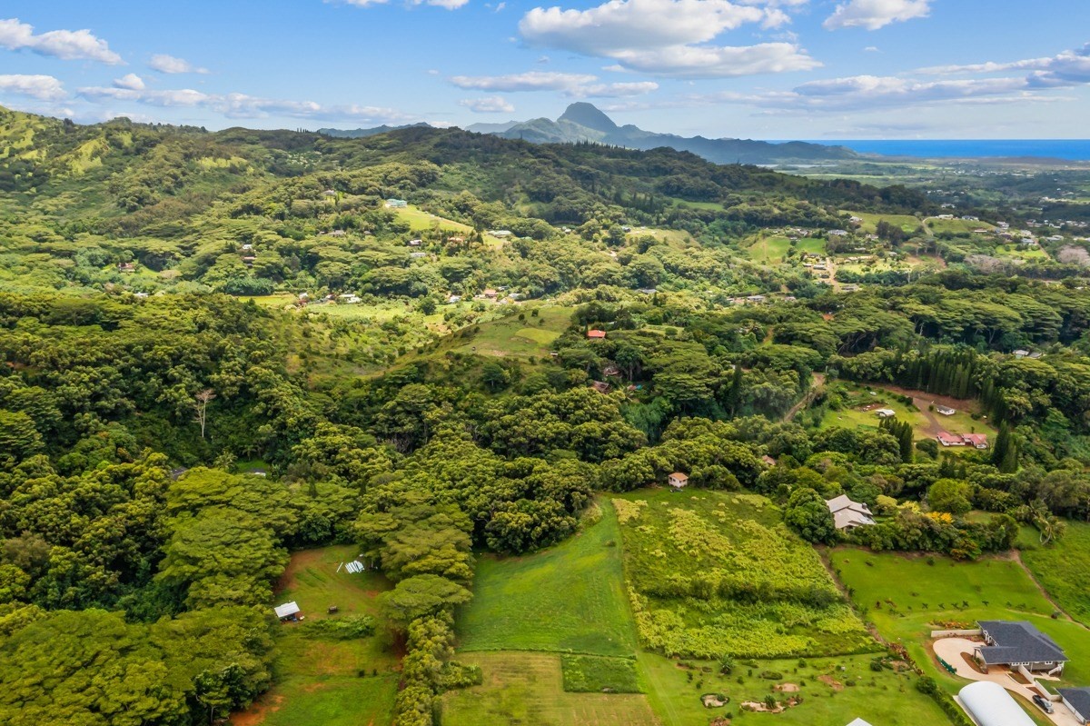 Kikala Road, Unit 3 Kalaheo, HI 96741 - Photo 4 of 7 Gallery Image 4