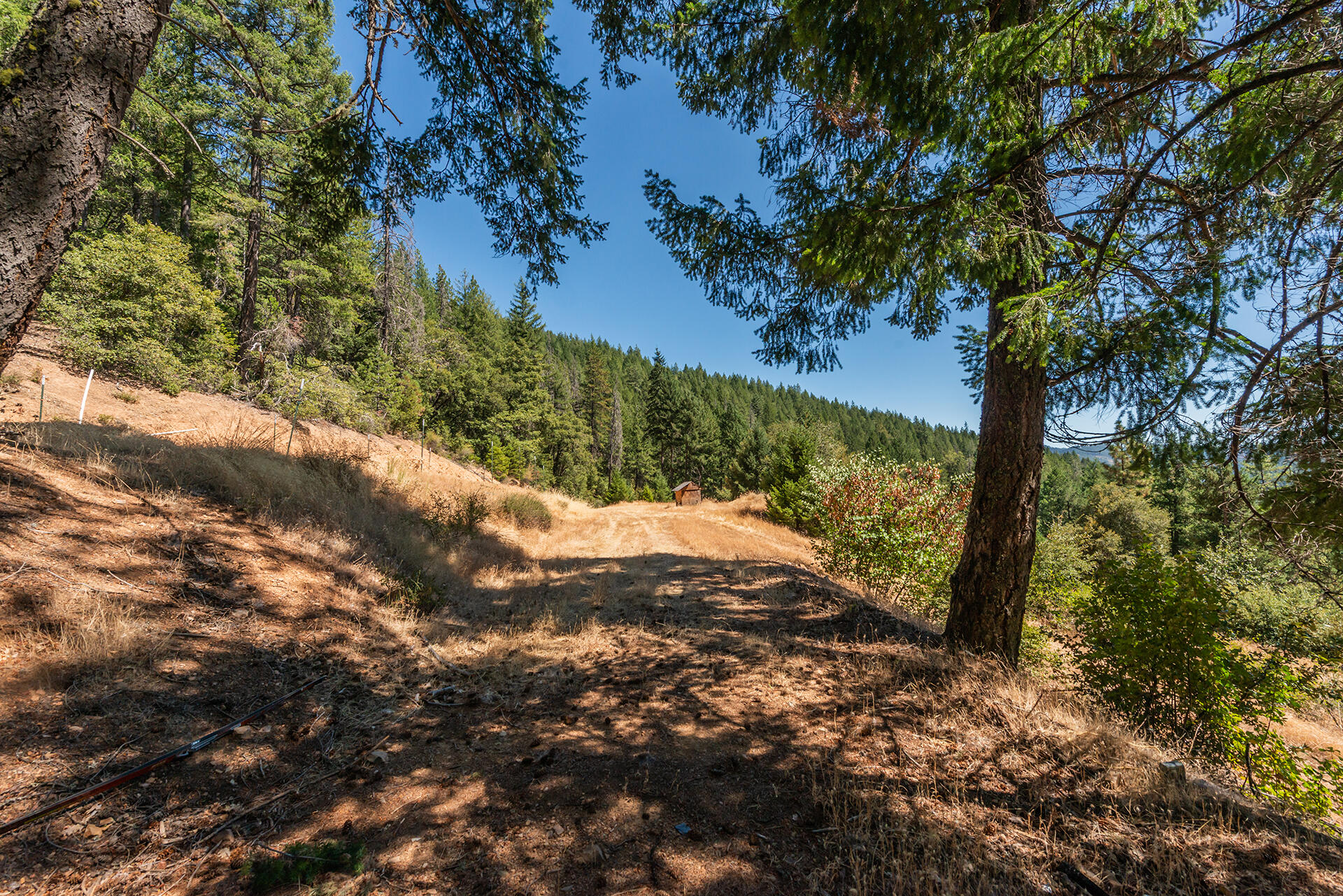 1511 Upper Moore Gulch Road Trinity Center, CA 96091 - Photo 36 of 62 DSC_6706