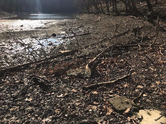 1 Southwest Cornette Cemetery Road Morehead, KY 40351 - Photo 7 of 12 Cave Run Lake at winter pool level about