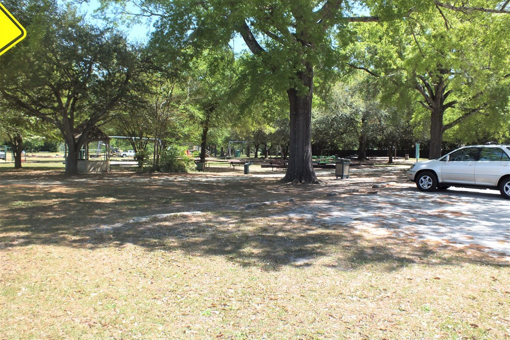 201 Ridge Street Bishopville, SC 29010 - Photo 6 of 64