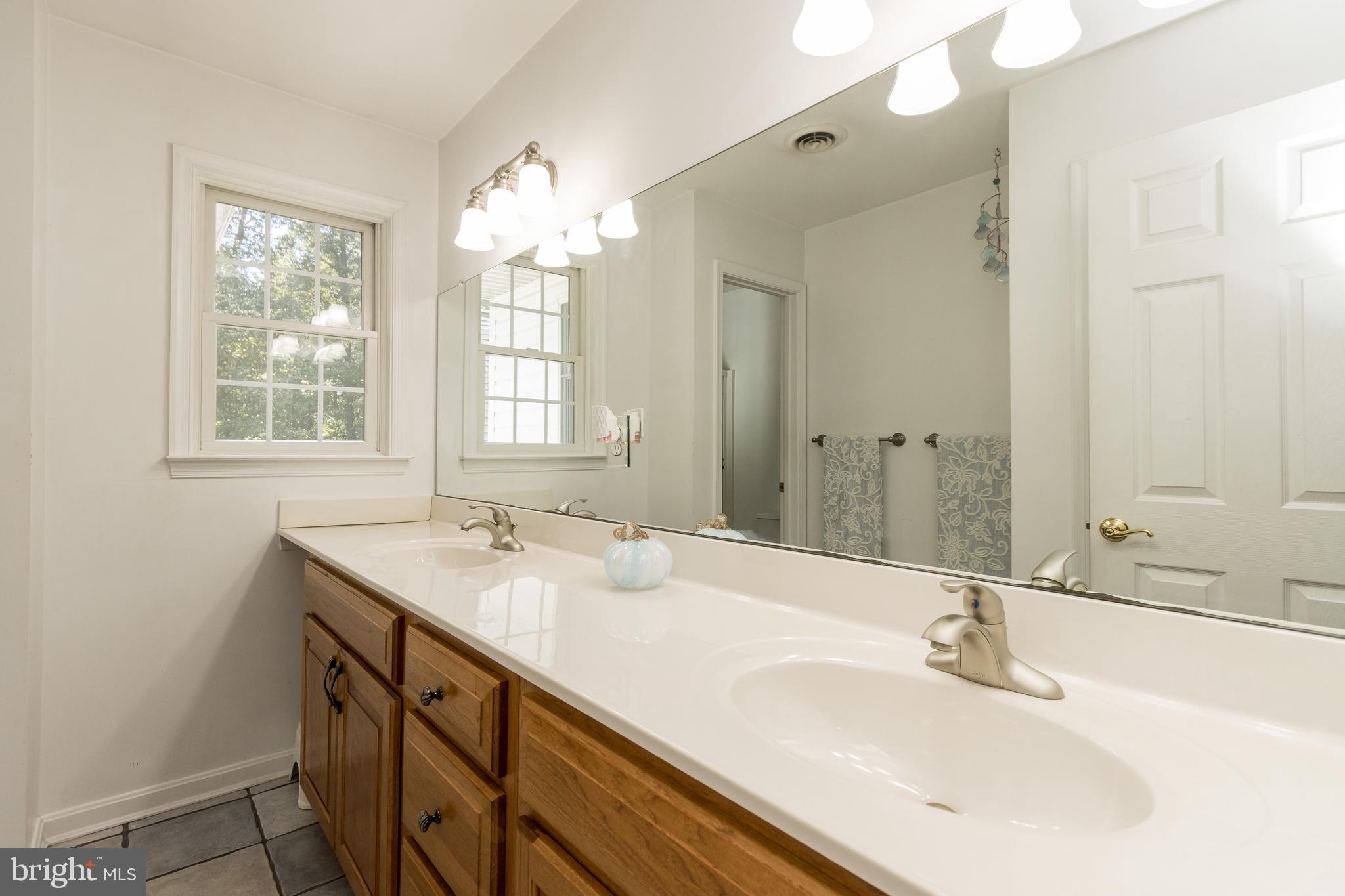 1652 Benson Road Westminster, MD 21158 - Photo 43 of 94 Double sinks