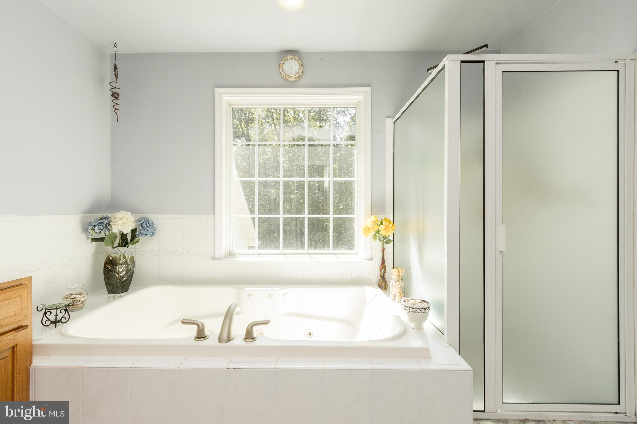 1652 Benson Road Westminster, MD 21158 - Photo 45 of 94 jacuzzi tub