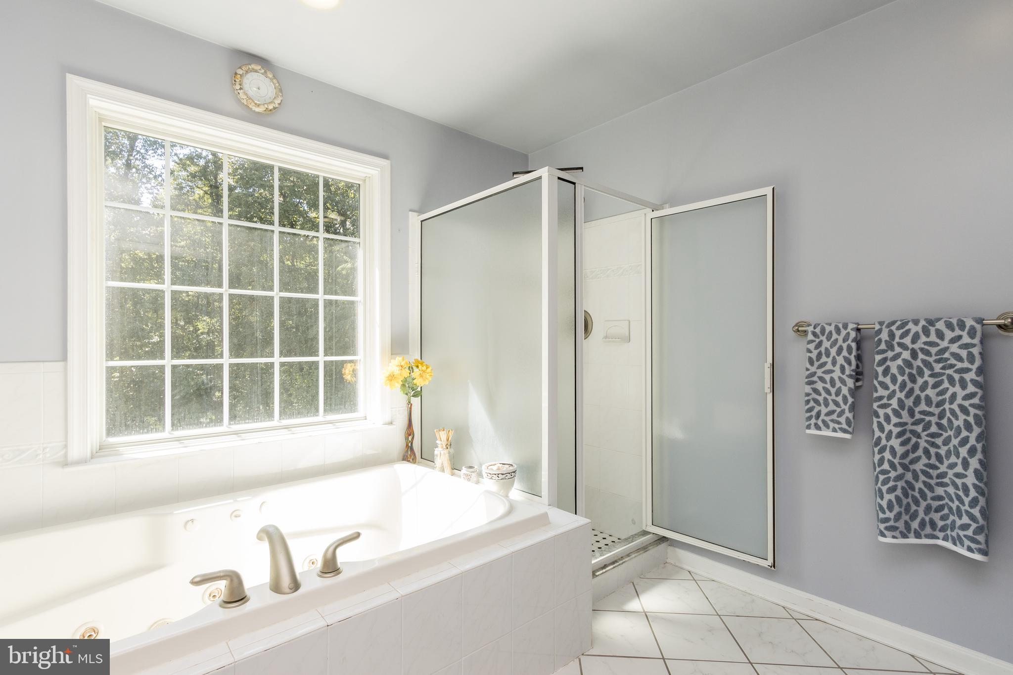 1652 Benson Road Westminster, MD 21158 - Photo 46 of 94 separate shower