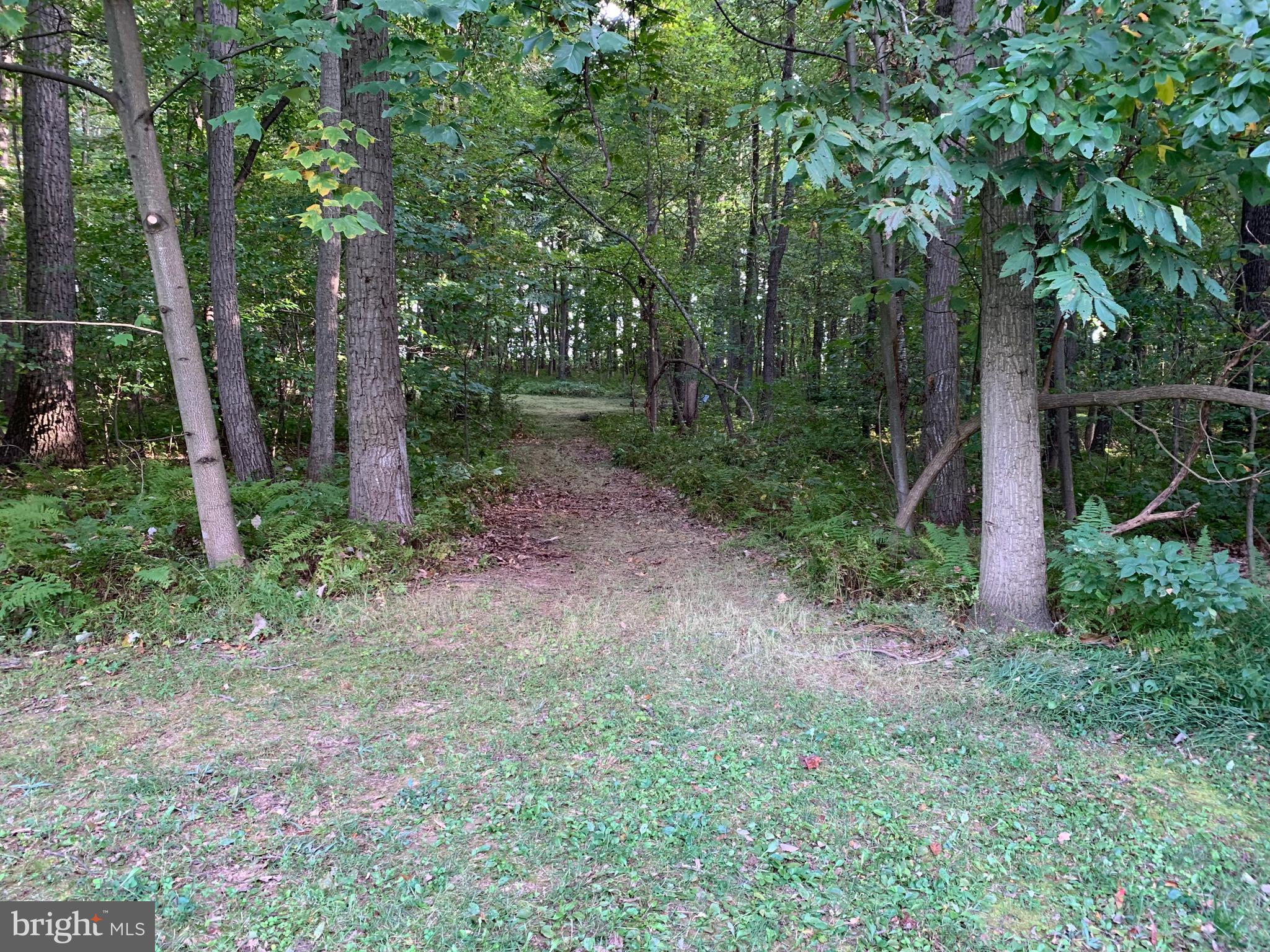 1652 Benson Road Westminster, MD 21158 - Photo 72 of 94