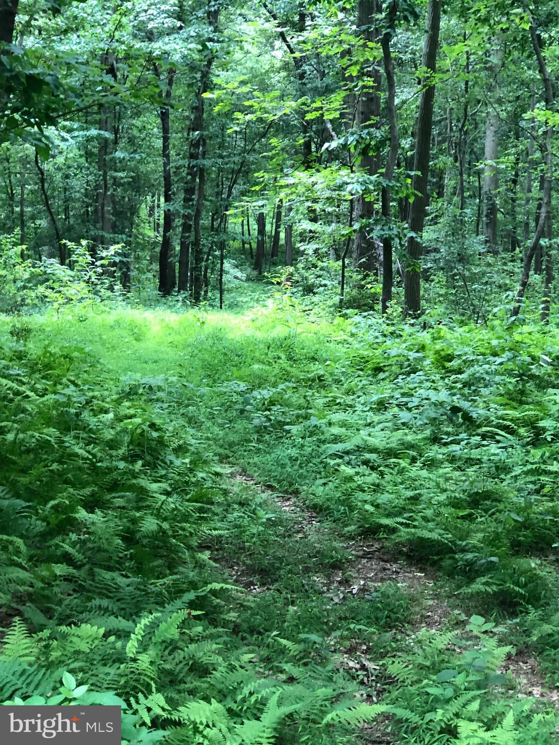 1652 Benson Road Westminster, MD 21158 - Photo 74 of 94